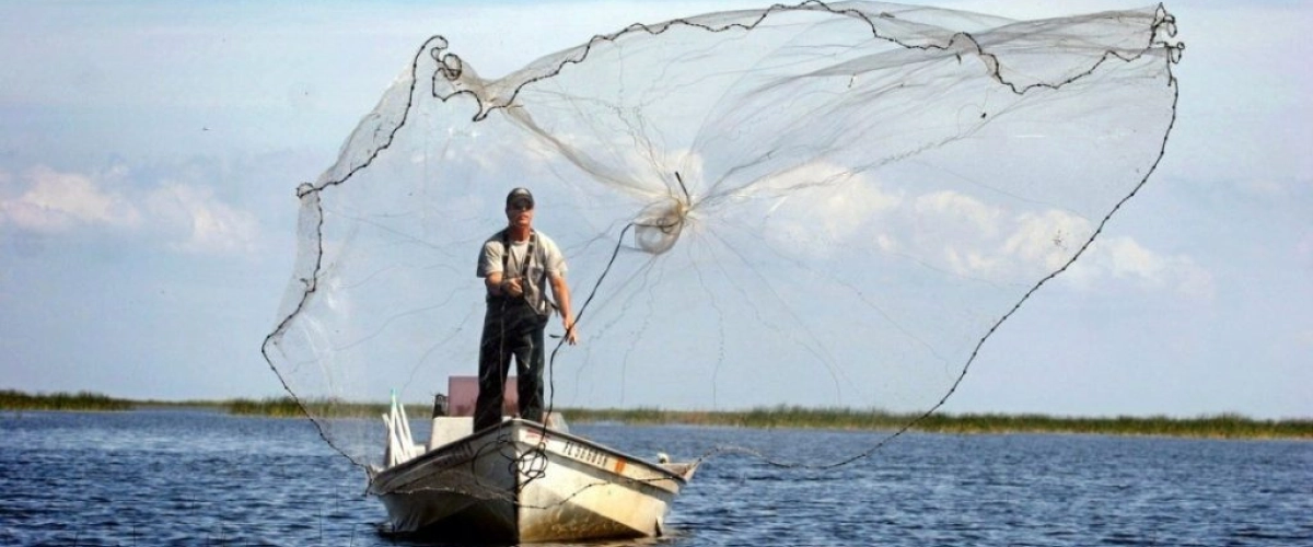 Кастинговая сеть